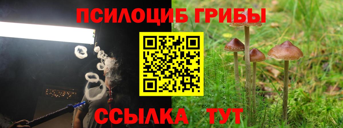 Владимир  Псилоцибиновые грибы прущие грибы  купить наркоту  Вход с VPN 